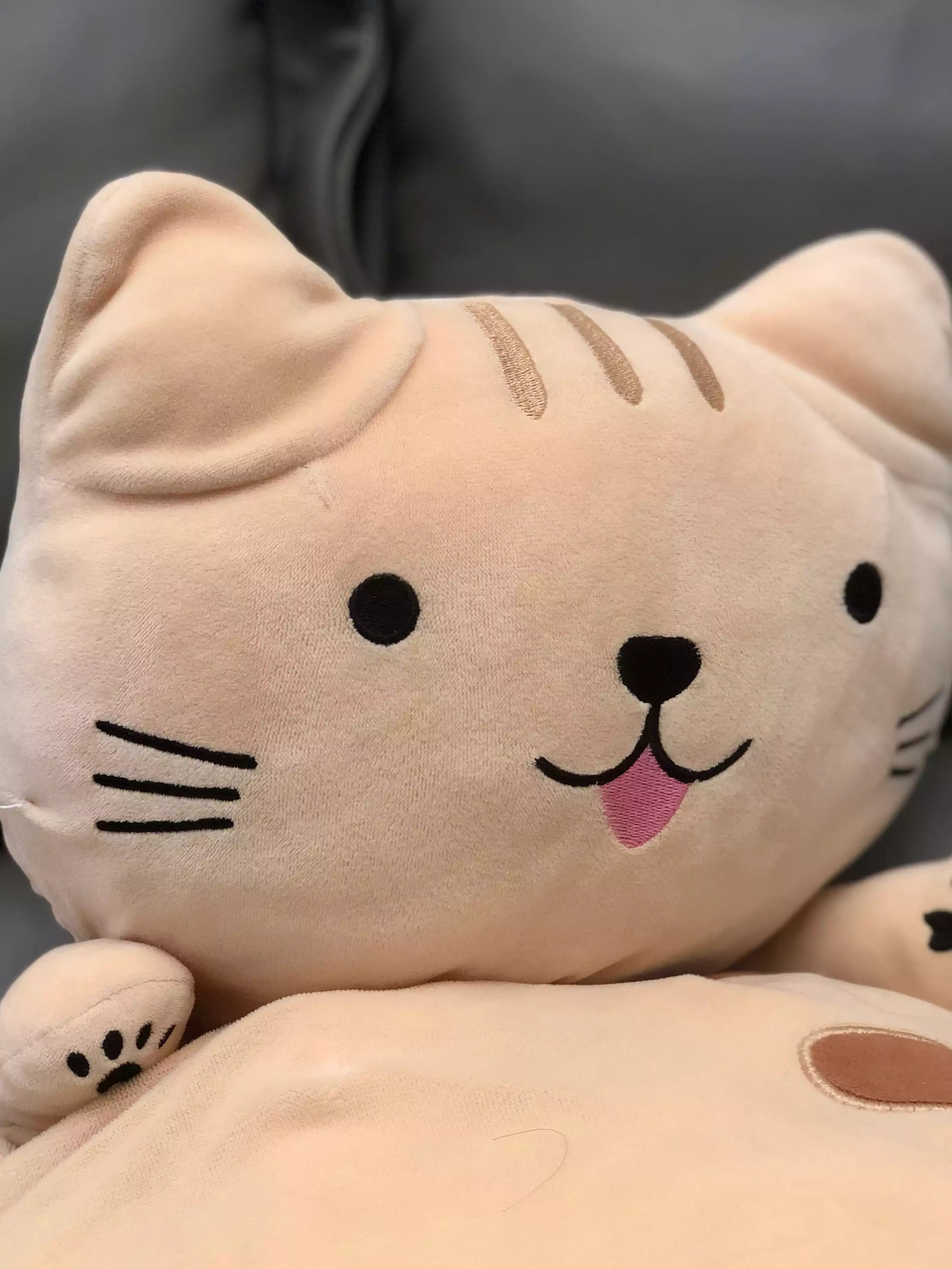 Gato de Peluche