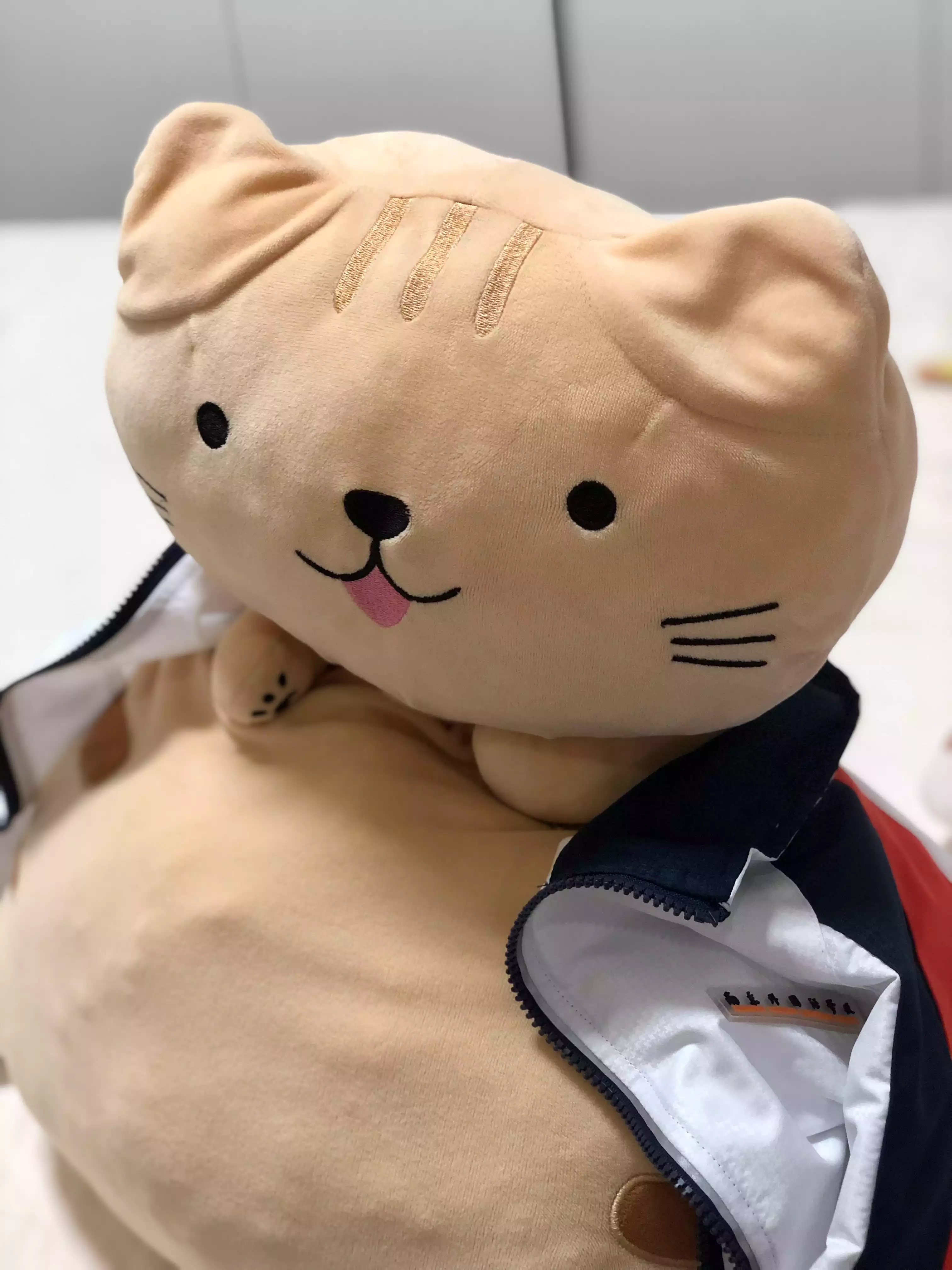 Vista trasera del gato de peluche