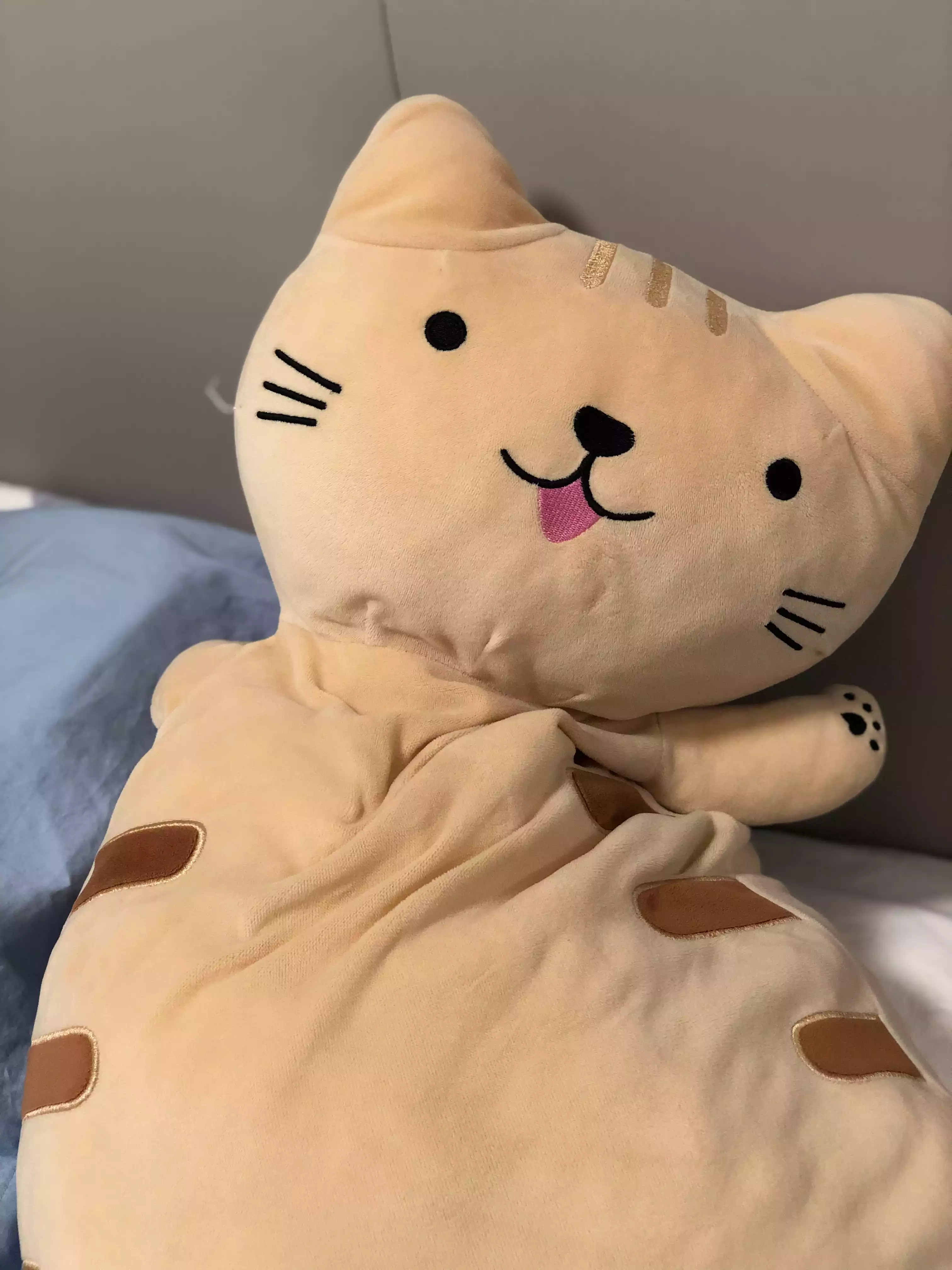Detalle de la cara del gato de peluche